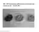 Fig. 01 - Method for making lactic acid bacteria composition