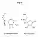Fig. 02 - Method for making lactic acid bacteria composition