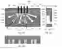 Fig. 02 - CAPILLARY PERFUSED BIOREACTORS WITH MULTIPLE CHAMBERS