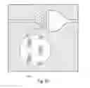 Fig. 13 - CAPILLARY PERFUSED BIOREACTORS WITH MULTIPLE CHAMBERS