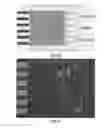 Fig. 07 - Microfluidic cell culture systems