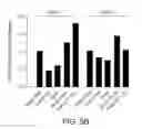 Fig. 08 - Methods for culturing undifferentiated cells using sustained release compositions