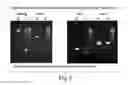 Fig. 07 - MULTIPOTENT STEM CELLS AND USES THEREOF