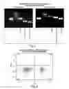 Fig. 11 - MULTIPOTENT STEM CELLS AND USES THEREOF