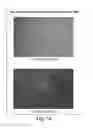 Fig. 12 - MULTIPOTENT STEM CELLS AND USES THEREOF