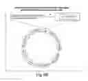 Fig. 17 - MULTIPOTENT STEM CELLS AND USES THEREOF