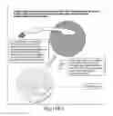 Fig. 27 - MULTIPOTENT STEM CELLS AND USES THEREOF