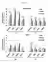 Fig. 11 - Method For Amplification And Functional Enhancment Of Blood Derived Progenitor Cells Using A Closed Culture System