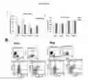 Fig. 18 - Method For Amplification And Functional Enhancment Of Blood Derived Progenitor Cells Using A Closed Culture System