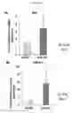 Fig. 19 - Method For Amplification And Functional Enhancment Of Blood Derived Progenitor Cells Using A Closed Culture System
