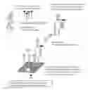 Fig. 01 - Chromatographic assay system