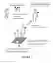 Fig. 06 - Chromatographic assay system