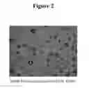 Fig. 03 - Hole transport compositions and related devices and methods (II)