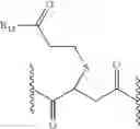 Fig. 41 - BIOADHESIVE CONSTRUCTS WITH POLYMER BLENDS