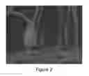 Fig. 03 - Composite Nanofibers