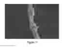 Fig. 04 - Composite Nanofibers