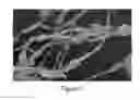 Fig. 08 - Composite Nanofibers