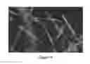 Fig. 10 - Composite Nanofibers