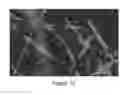 Fig. 12 - Composite Nanofibers
