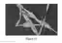 Fig. 13 - Composite Nanofibers