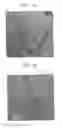 Fig. 07 - Method of manufacturing field emission electrode having carbon nanotubes with conductive particles attached to external walls