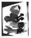 Fig. 03 - Combined toy doll and artificial flower