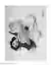 Fig. 04 - Combined toy doll and artificial flower