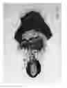 Fig. 11 - Combined toy doll and artificial flower