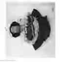 Fig. 12 - Combined toy doll and artificial flower