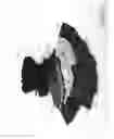 Fig. 13 - Combined toy doll and artificial flower
