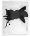 Fig. 14 - Combined toy doll and artificial flower