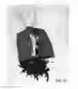 Fig. 22 - Combined toy doll and artificial flower