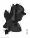 Fig. 27 - Combined toy doll and artificial flower