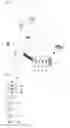 Fig. 03 - METHOD AND APPARATUS FOR SUPPORTING LOCAL BREAKOUT IN WIRELESS COMMUNICATION NETWORK INCLUDING FEMTOCELLS