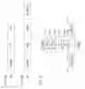 Fig. 09 - DISTRIBUTION SYSTEM FOR DATA ITEMS