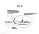 Fig. 07 - MOBILE COMMUNICATION METHOD, RADIO BASE STATION AND MOBILE STATION