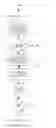 Fig. 01 - Method for adjusting a random number generator used for wagering by adjusting payouts or using liquid funds