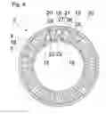 Fig. 05 - Vibration damper for a drive train