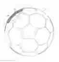 Fig. 01 - Sports ball
