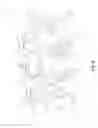 Fig. 09 - Variable resistance system