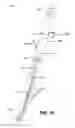 Fig. 09 - STILTS WITH NON-CIRCULAR SUPPORT POLE AND METHOD OF IMPROVING SAFETY