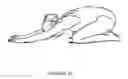 Fig. 02 - Foldable Prone Support
