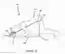 Fig. 03 - Foldable Prone Support
