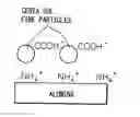 Fig. 01 - Nanoparticle carrying method