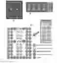 Fig. 01 - DNA CHIP, KIT FOR DETECTING OR GENOTYPING BACTERIA CAUSING SEXUALLY TRANSMITTED DISEASES, GENOTYPING ANTIBACTERIAL DRUG RESISTANCE AND DETECTING OR GENOTYPING METHOD USING THE SAME