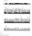 Fig. 11 - DNA CHIP, KIT FOR DETECTING OR GENOTYPING BACTERIA CAUSING SEXUALLY TRANSMITTED DISEASES, GENOTYPING ANTIBACTERIAL DRUG RESISTANCE AND DETECTING OR GENOTYPING METHOD USING THE SAME