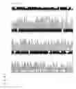 Fig. 20 - DNA CHIP, KIT FOR DETECTING OR GENOTYPING BACTERIA CAUSING SEXUALLY TRANSMITTED DISEASES, GENOTYPING ANTIBACTERIAL DRUG RESISTANCE AND DETECTING OR GENOTYPING METHOD USING THE SAME