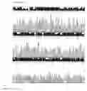 Fig. 27 - DNA CHIP, KIT FOR DETECTING OR GENOTYPING BACTERIA CAUSING SEXUALLY TRANSMITTED DISEASES, GENOTYPING ANTIBACTERIAL DRUG RESISTANCE AND DETECTING OR GENOTYPING METHOD USING THE SAME