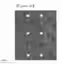 Fig. 30 - DNA CHIP, KIT FOR DETECTING OR GENOTYPING BACTERIA CAUSING SEXUALLY TRANSMITTED DISEASES, GENOTYPING ANTIBACTERIAL DRUG RESISTANCE AND DETECTING OR GENOTYPING METHOD USING THE SAME