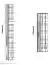 Fig. 06 - SYSTEM AND METHOD FOR PURIFICATION AND USE OF INORGANIC PYROPHOSPHATASE FROM AQUIFEX AEOLICUS